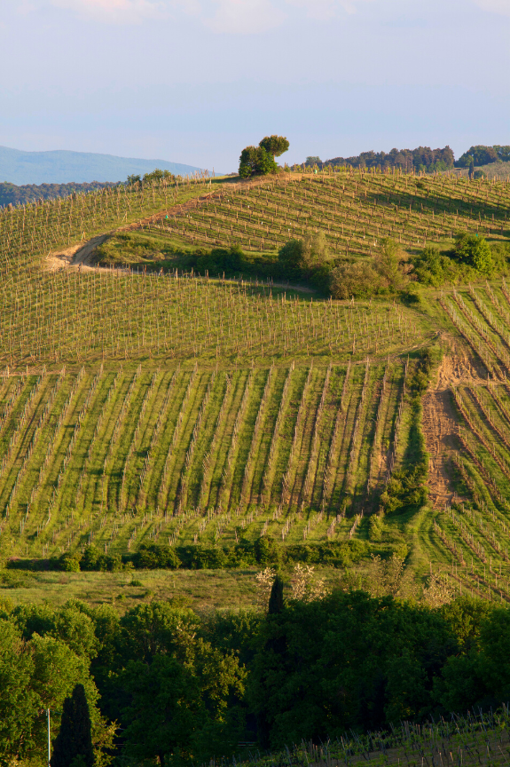 fugaromantica-sangimignano-4.JPEG